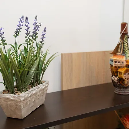 Apartament Le Alex Saloniki Zewnętrze zdjęcie